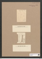 Asterionella formosa var. subtilissima Grun. (de-Toni-Nr.: Genus 70, Species 2691) Zeichnungen Sammlung Grunow Nr. 5519 (NHMW-BOT-W0373967)
